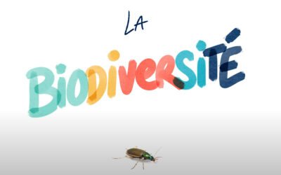 Biodiversité